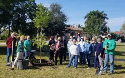 Calusa Garden Club Plants Two Native Trees for Florida Arbor Day