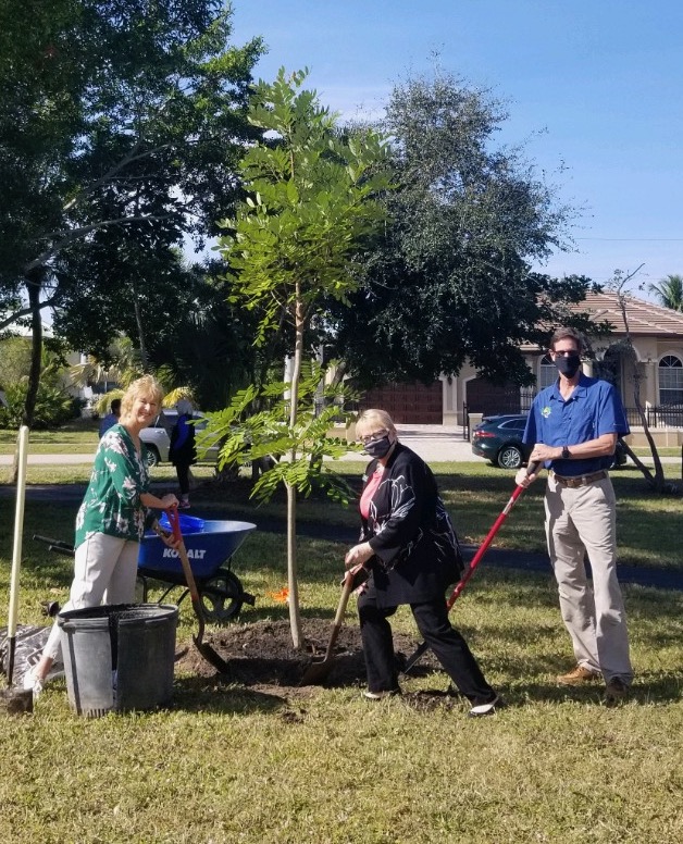 Calusa Garden Club Plants Two Native Trees for Florida Arbor Day ...