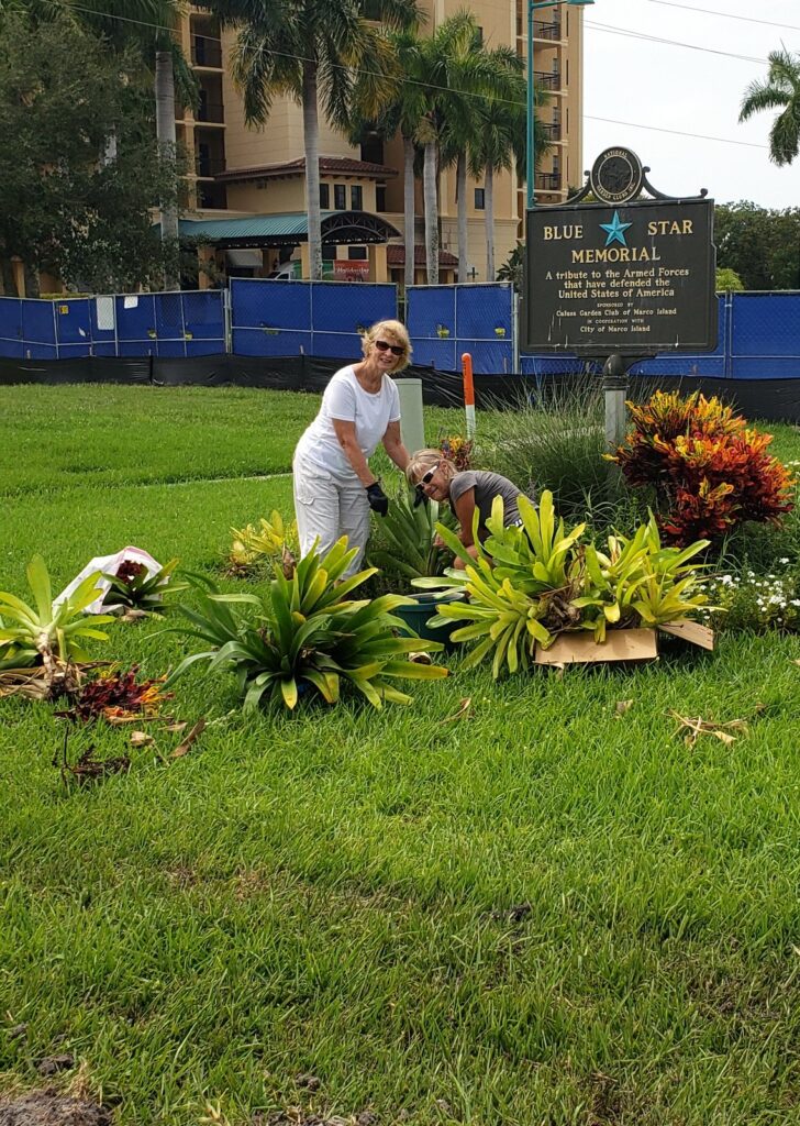 Calusa Garden Club of Marco Island