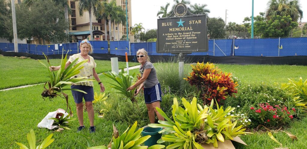 Calusa Garden Club of Marco Island