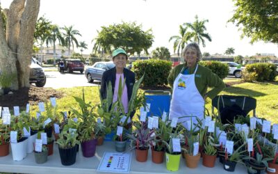 Successful November Plant Sale for Calusa Garden Club of Marco Island – –