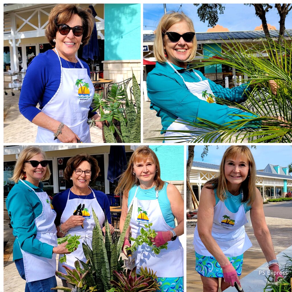 Calusa Garden Club of Marco Island